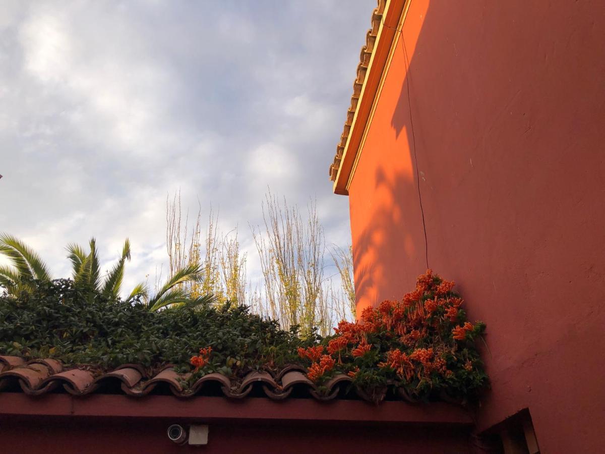 El Arbol Hostel La Serena Buitenkant foto